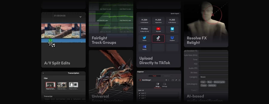 Blackmagic Design DaVinci Resolve Studio (License) by in - EC MALL