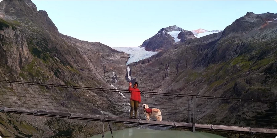 DJI Mini 4 Pro Drone by  in  - EC MALL