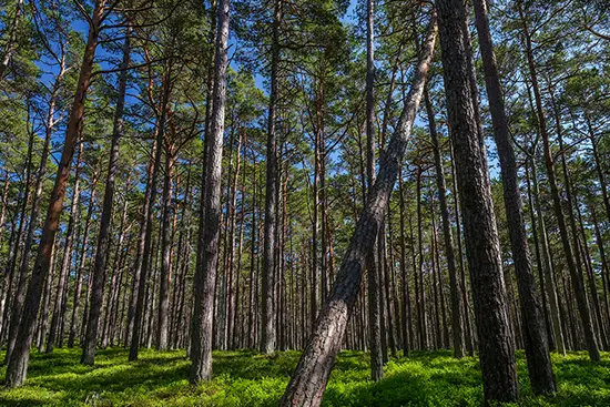 Fujifilm Fujinon GF 30mm f/5.6 T/S Lens by  in  - EC MALL