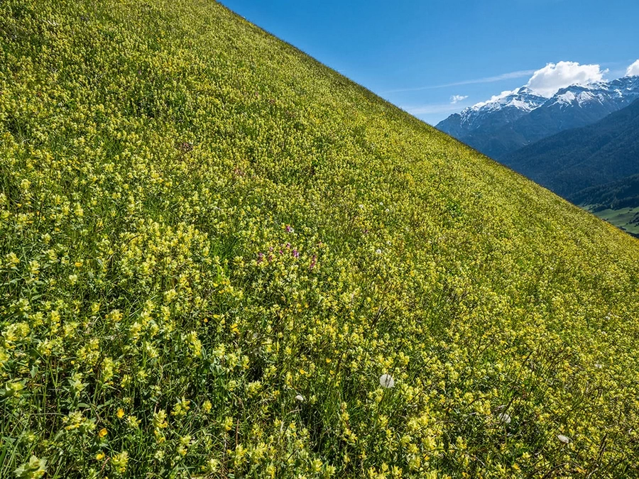 Fujifilm Fujinon GF 23mm f/4 R WR by  in  - EC MALL