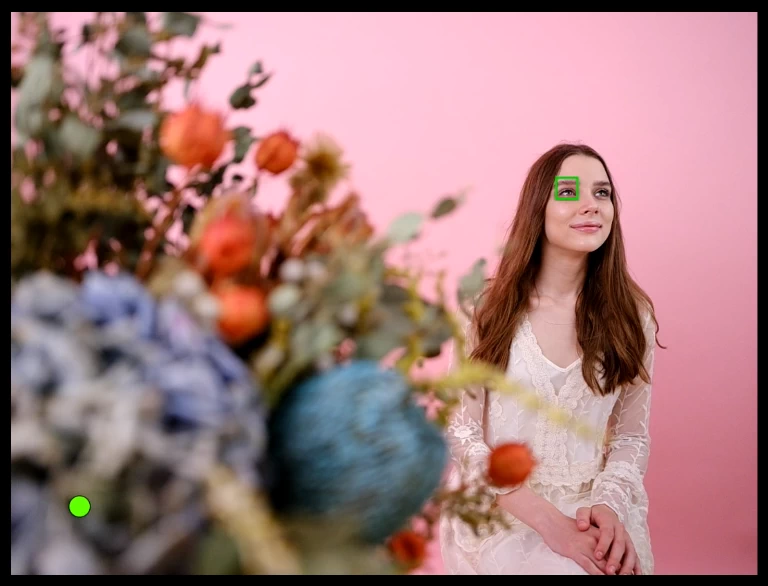 Fujifilm Fujinon GF 30mm f/3.5 R WR by  in  - EC MALL