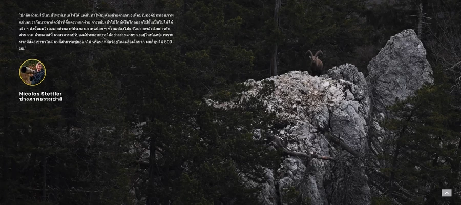 Nikon NIKKOR Z 180-600mm f/5.6-6.3 VR Lens by  in  - EC MALL