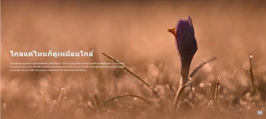 Nikon NIKKOR Z 180-600mm f/5.6-6.3 VR Lens by  in  - EC MALL