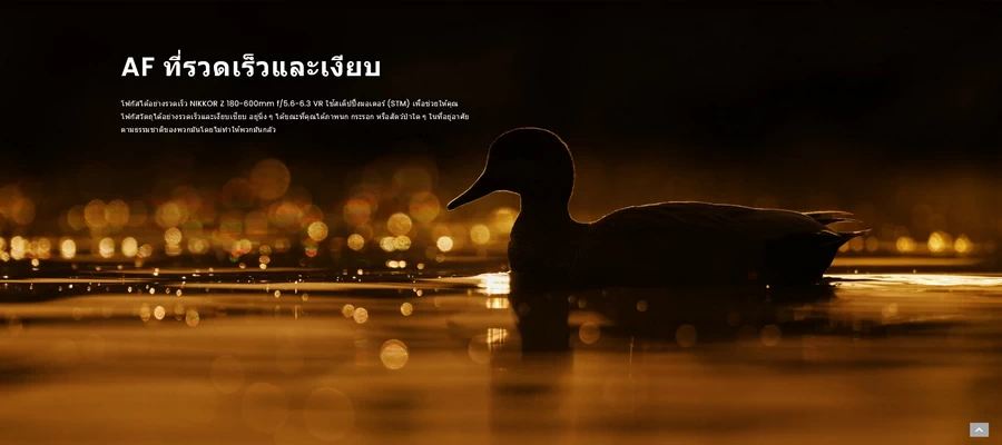 Nikon NIKKOR Z 180-600mm f/5.6-6.3 VR Lens by  in  - EC MALL