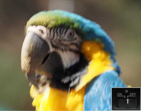 Olympus M.Zuiko Digital ED 100-400mm f/5-6.3 IS Lens by  in  - EC MALL