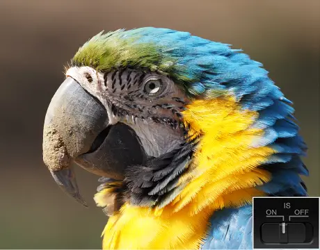 Olympus M.Zuiko Digital ED 100-400mm f/5-6.3 IS Lens by in - EC MALL