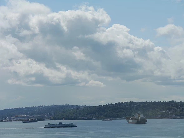 Panasonic Lumix G9II by  in  - EC MALL