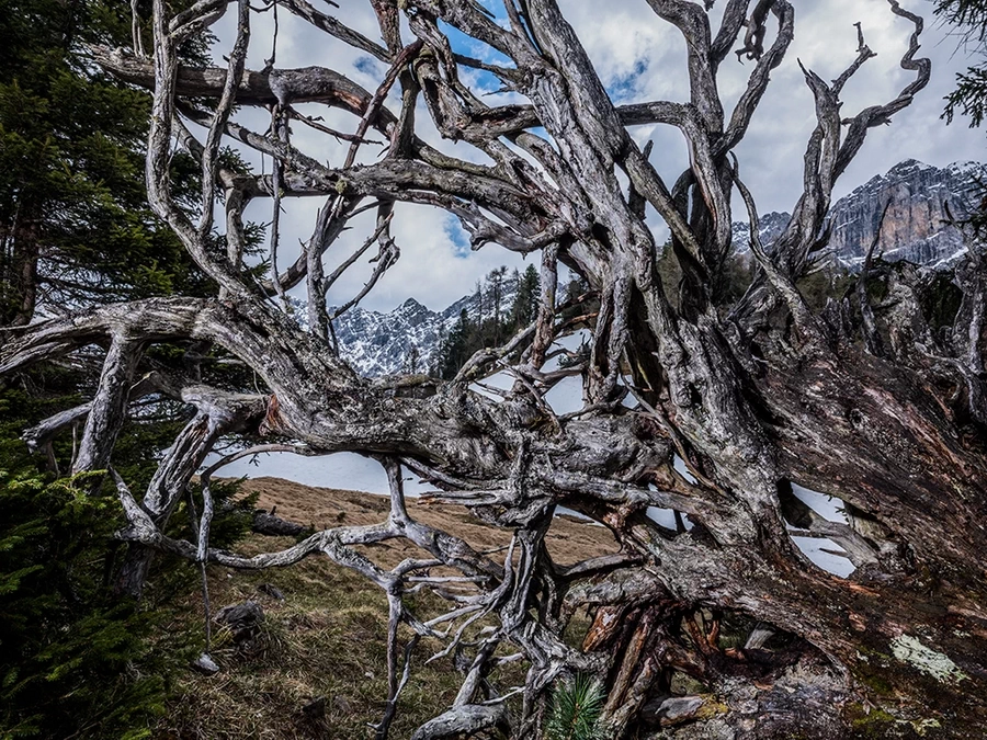 Fujifilm Fujinon GF 23mm f/4 R WR by  in  - EC MALL