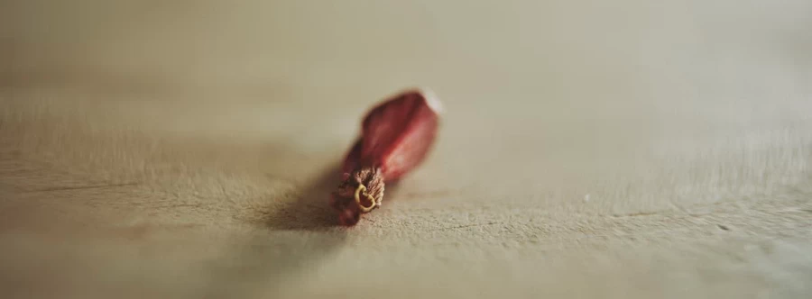 Fujifilm Fujinon GF 30mm f/3.5 R WR by  in  - EC MALL