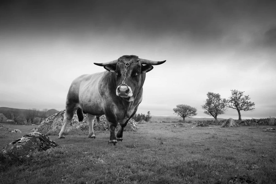 Fujifilm Fujinon GF 30mm f/3.5 R WR by  in  - EC MALL