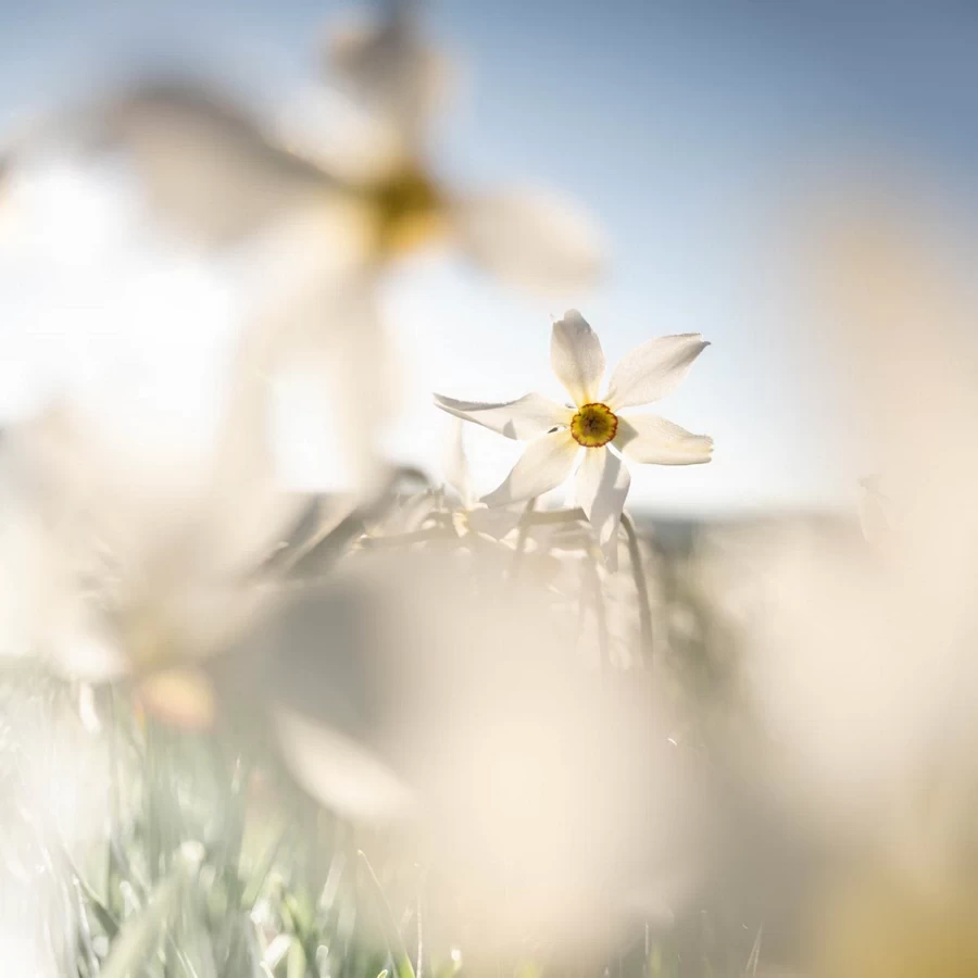 Fujifilm Fujinon GF 30mm f/3.5 R WR by  in  - EC MALL