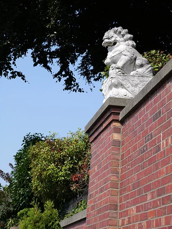 Panasonic Lumix G9II by  in  - EC MALL