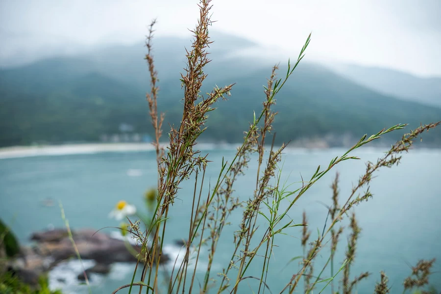 Viltrox AF 56mm f/1.4 Z Lens by  in  - EC MALL