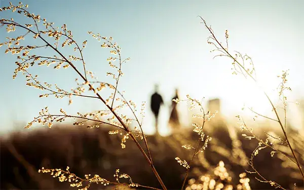 Nikon NIKKOR Z 40mm f/2 Lens by  in  - EC MALL