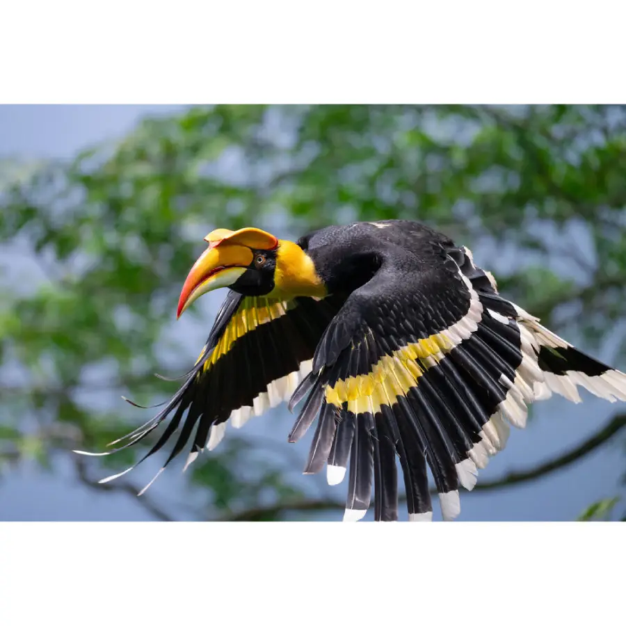 Nikon NIKKOR Z 600mm f/6.3 VR S Lens by  in  - EC MALL