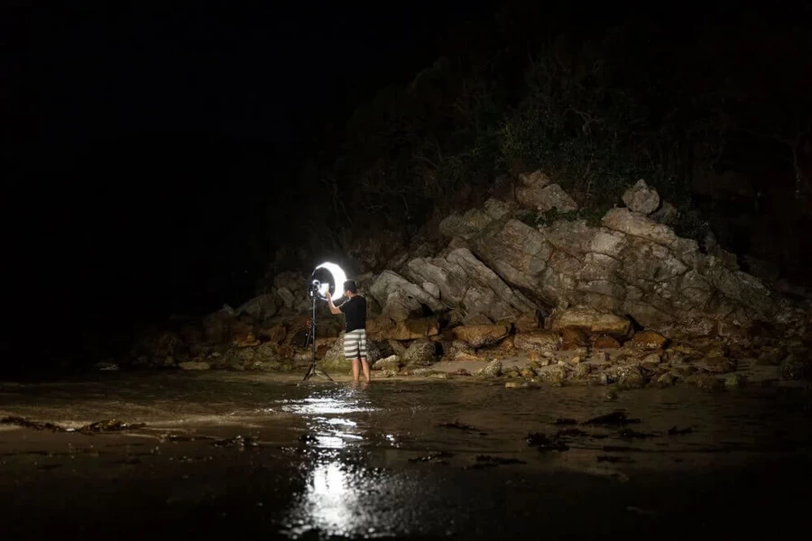 Aputure Lantern Softbox 26 inch (65cm) Bowens Mount Light by  in  - EC MALL