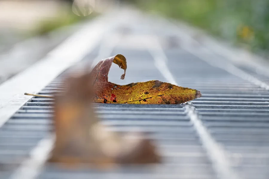 Laowa 65mm f/2.8 2x Ultra Macro APO Lens by  in  - EC MALL