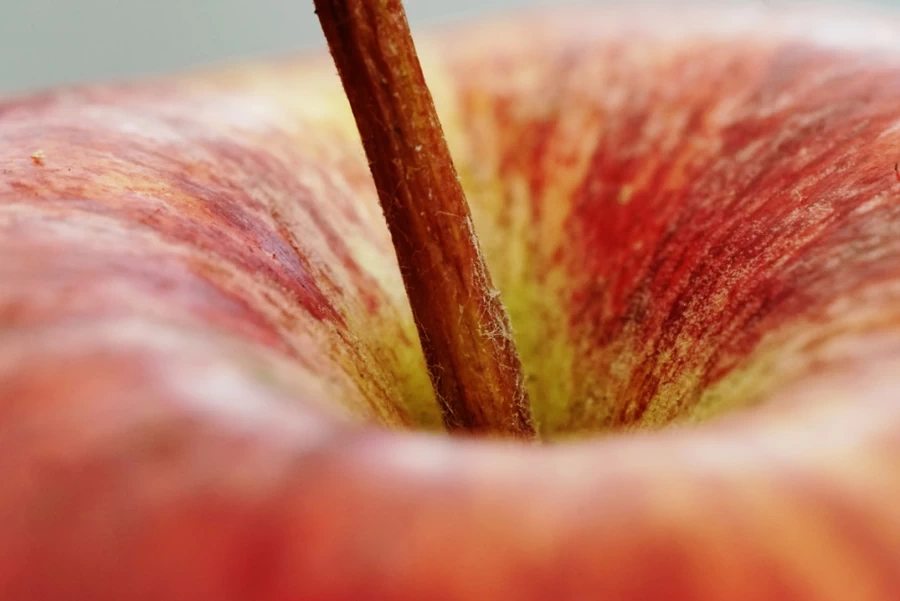 Laowa 65mm f/2.8 2x Ultra Macro APO Lens by  in  - EC MALL