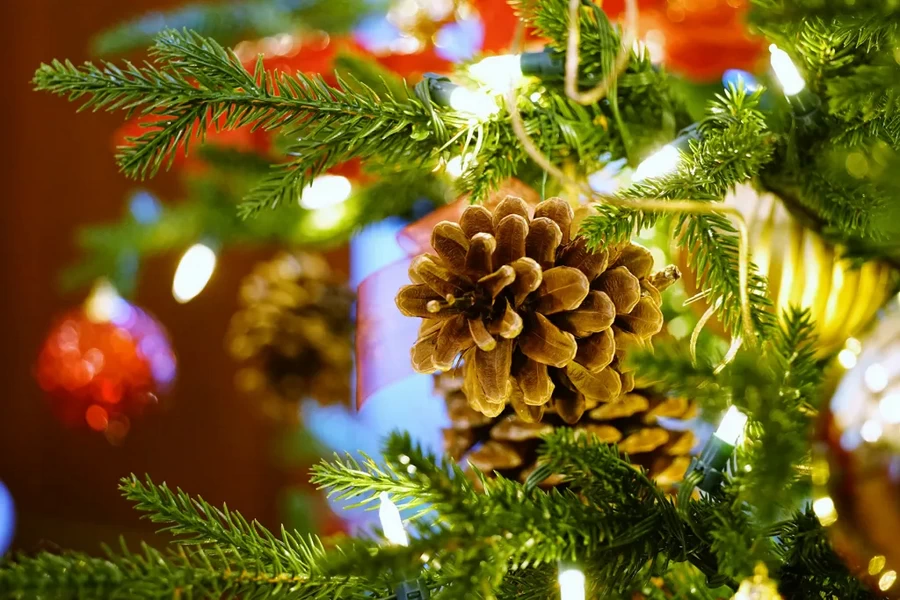 Laowa 65mm f/2.8 2x Ultra Macro APO Lens by  in  - EC MALL