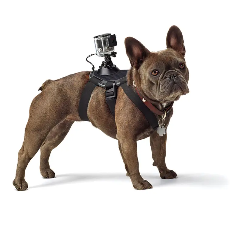 GoPro Fetch (Dog Harness) by  in  - EC MALL