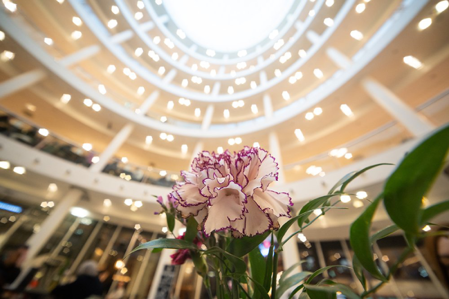 Laowa 12-24mm f/5.6 Zoom by  in  - EC MALL