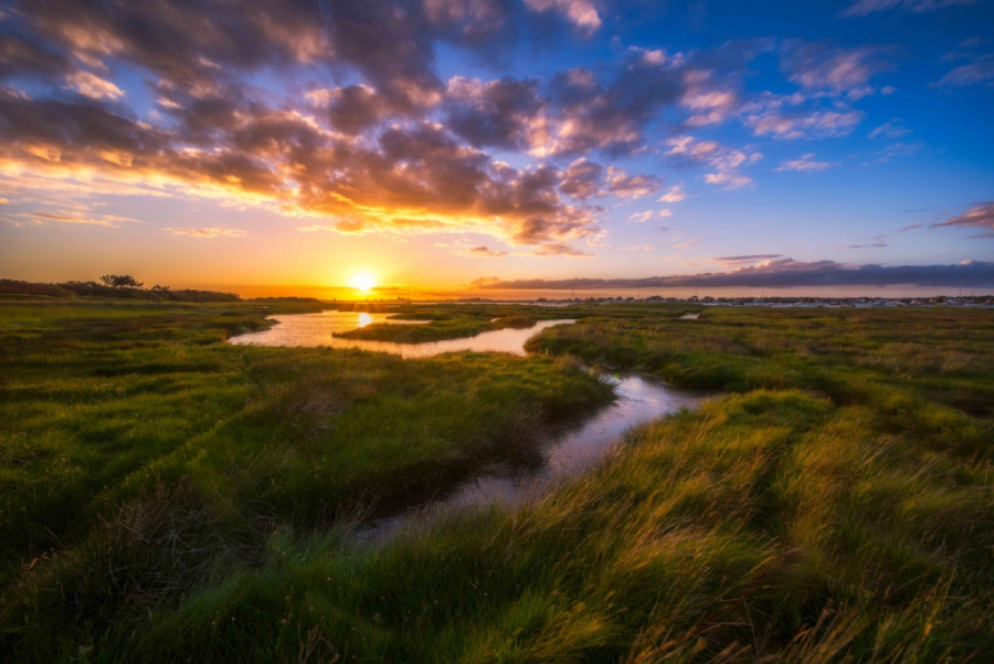 Laowa 12mm f/2.8 Zero-D by  in  - EC MALL