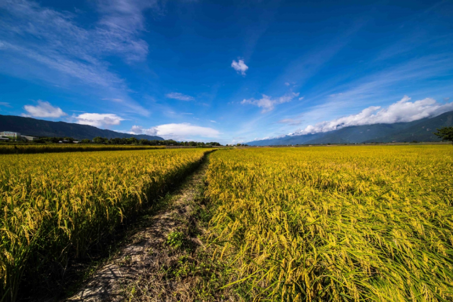 Laowa 12mm f/2.8 Zero-D by  in  - EC MALL