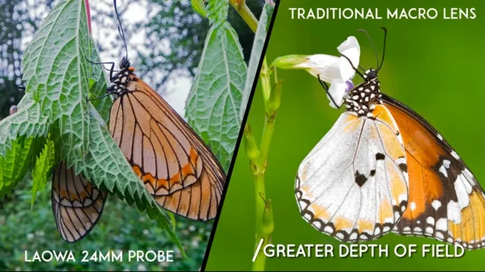 Laowa 24mm f/14 2X Macro Probe (Cinema) by in - EC MALL