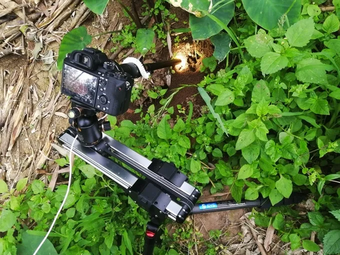 Laowa 24mm f/14 2X Macro Probe (Cinema) by  in  - EC MALL