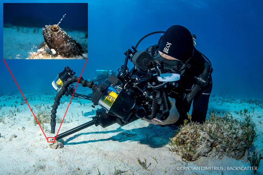 Laowa 24mm T14 2X PeriProbe (Cinema) by  in  - EC MALL