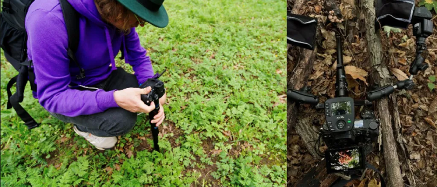 Laowa 24mm T14 2X PeriProbe (Cinema) by  in  - EC MALL