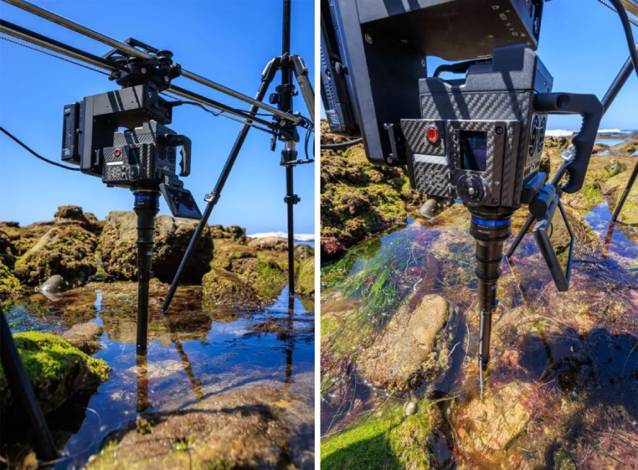 Laowa 24mm T14 2X PeriProbe (Cinema) by  in  - EC MALL