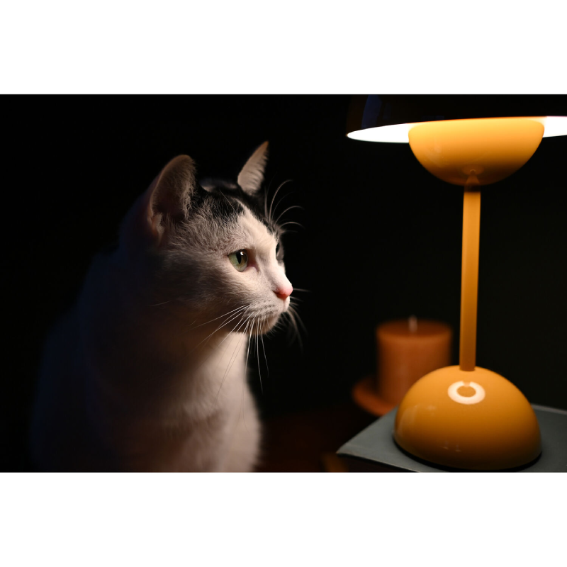 Nikon NIKKOR Z DX 24mm f/1.7 Lens by  in  - EC MALL