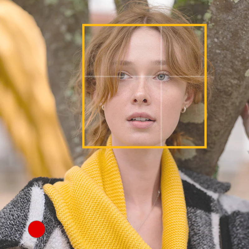 Panasonic Lumix S 100mm f/2.8 Macro Lens by  in  - EC MALL