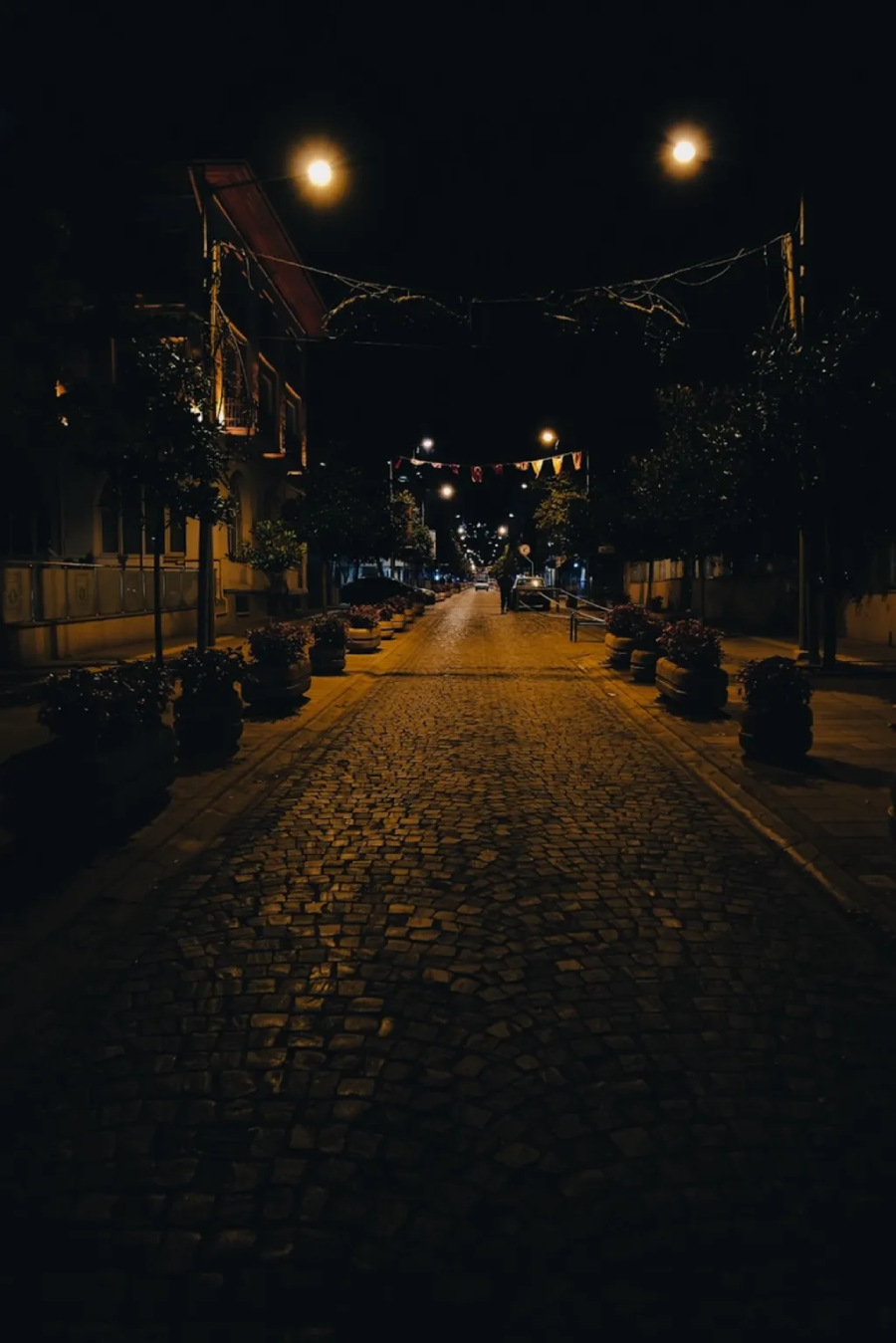 Samyang AF 12mm f/2 For Fujifilm X-Mount by  in  - EC MALL