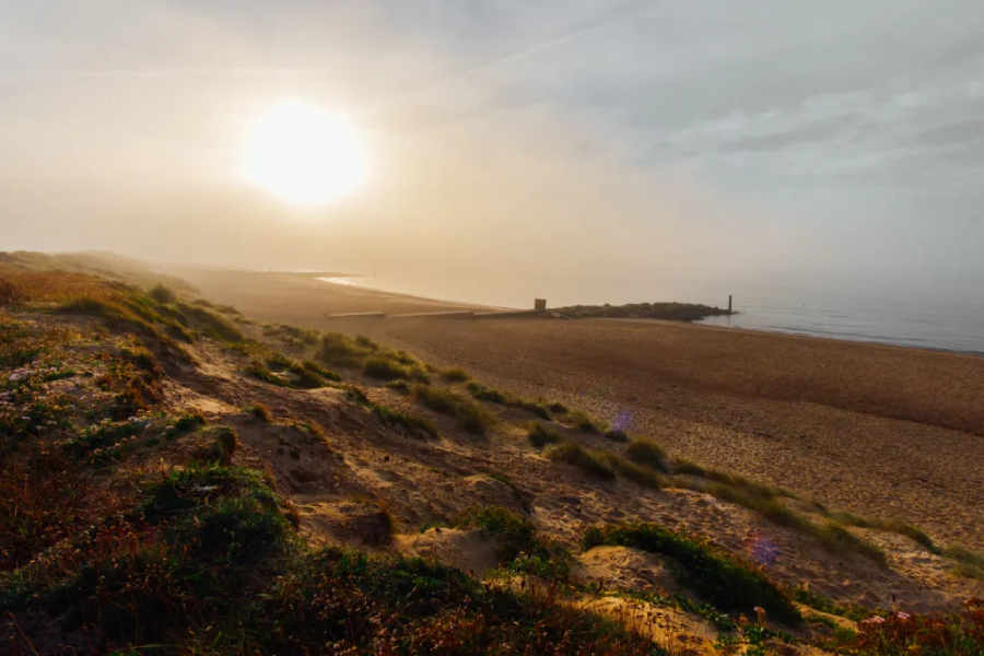 Samyang AF 12mm f/2 For Fujifilm X-Mount by  in  - EC MALL