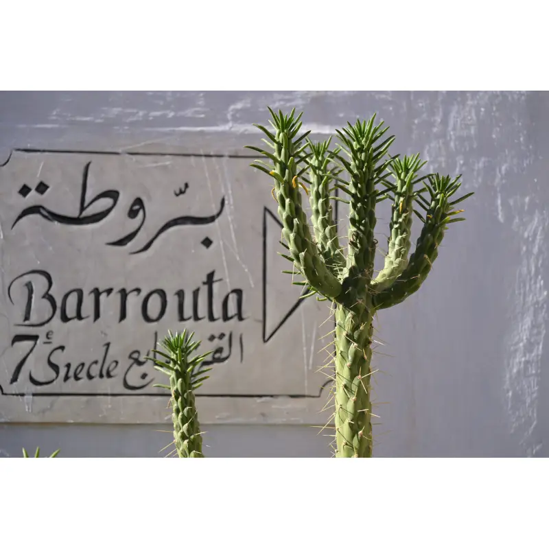 Tamron 28-75mm f/2.8 Di III VXD G2 For Nikon Z-Mount (A063Z) by  in  - EC MALL