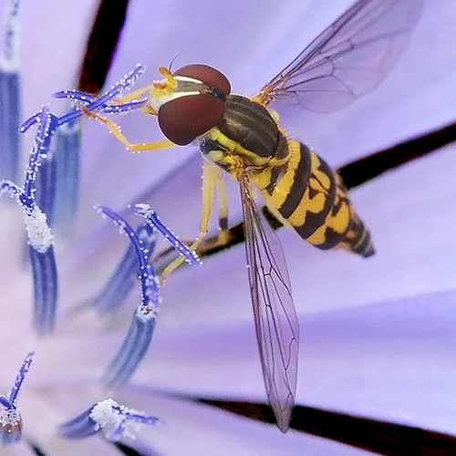 DataColor Spyder Checkr Photo by  in  - EC MALL