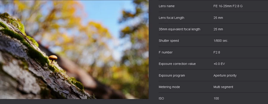 Sony FE 16-25mm f/2.8 G Lens by  in  - EC MALL