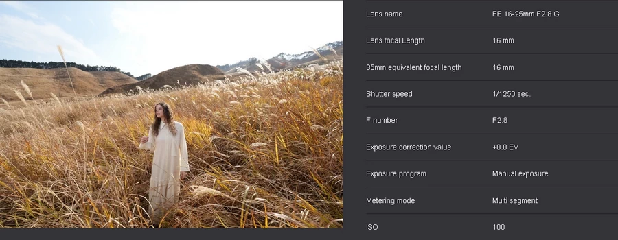 Sony FE 16-25mm f/2.8 G Lens by  in  - EC MALL