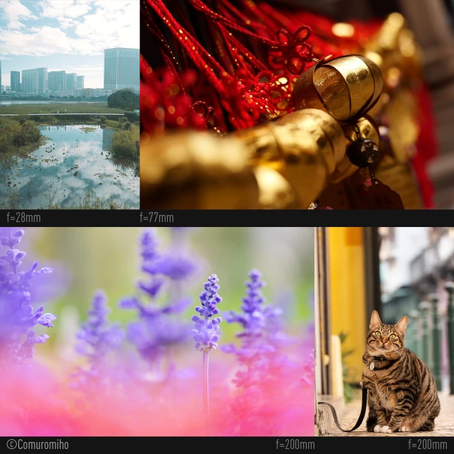 Panasonic Lumix S 28-200mm f/4-7.1 MACRO O.I.S. Lens by  in  - EC MALL