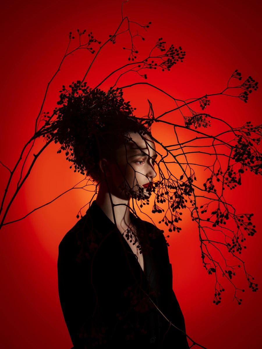 Fujifilm GFX 100S II Medium Format Mirrorless Camera by  in  - EC MALL