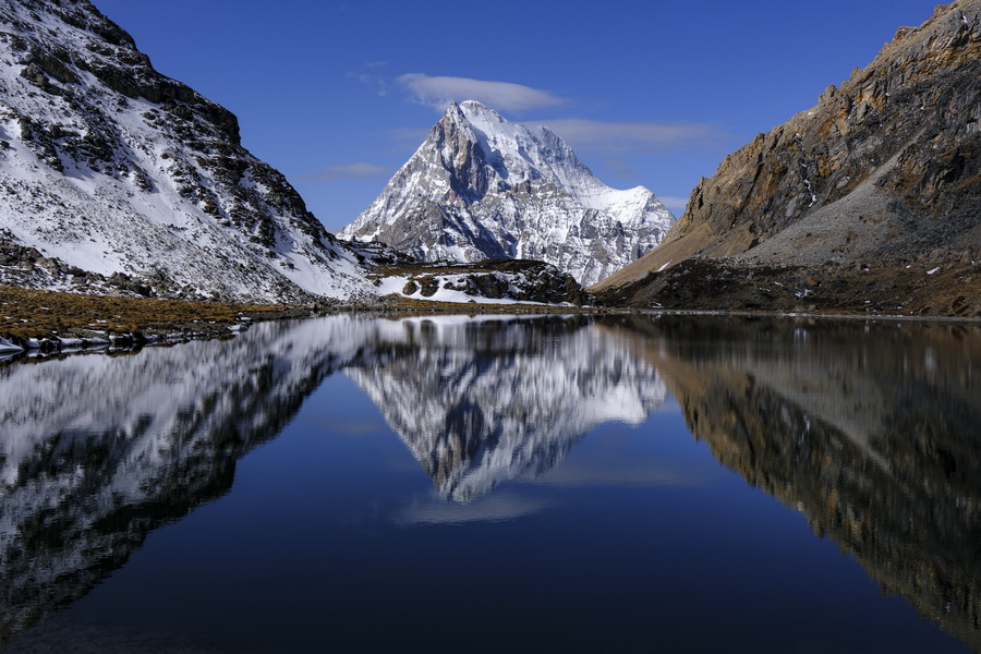 Fujifilm X-T50 Mirrorless Camera by  in  - EC MALL