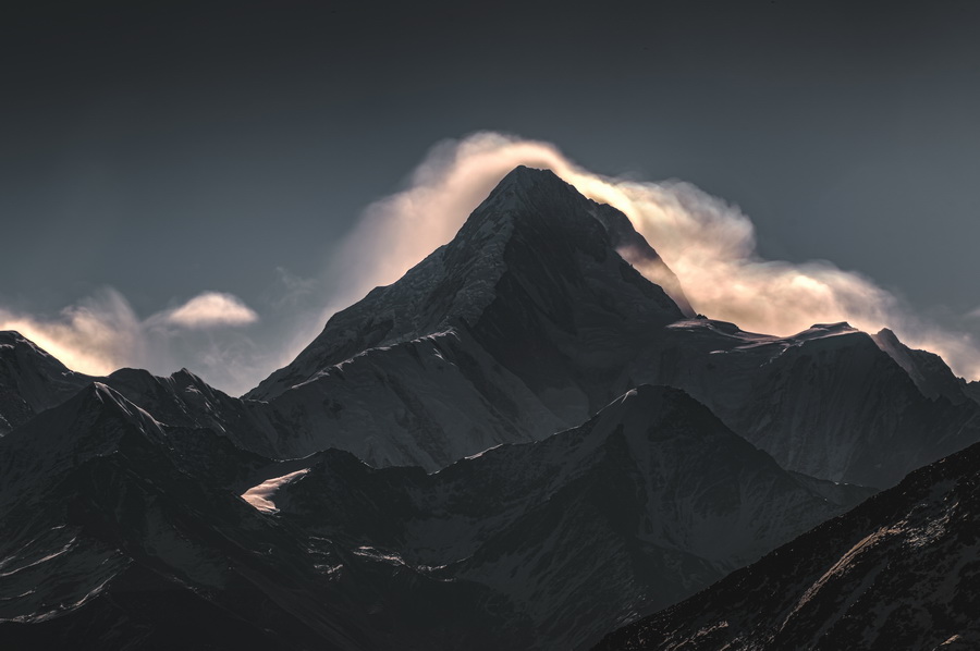 Fujifilm X-T50 Mirrorless Camera by  in  - EC MALL