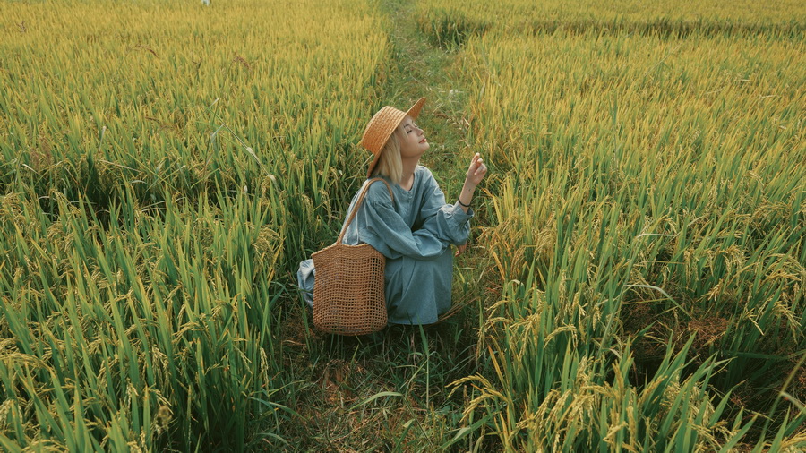 Fujifilm X-T50 Mirrorless Camera by  in  - EC MALL