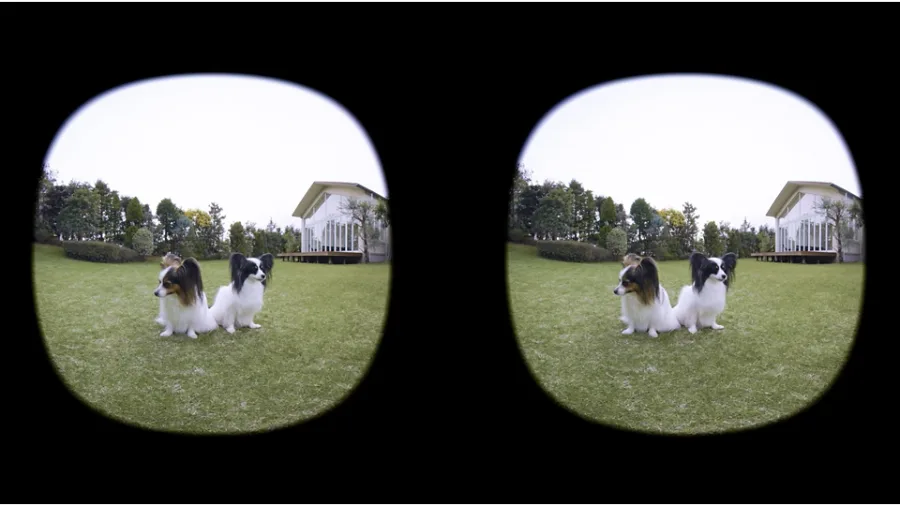 Canon RF-S 3.9mm f/3.5 STM Dual Fisheye Lens by  in  - EC MALL