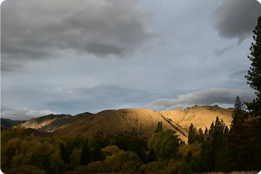 Nikon NIKKOR Z 35mm f/1.4 Lens by  in  - EC MALL