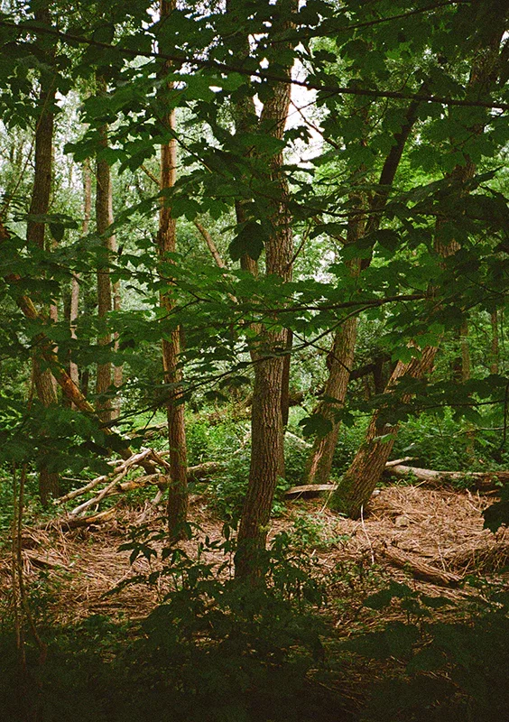 Pentax 17 Film Camera by  in  - EC MALL