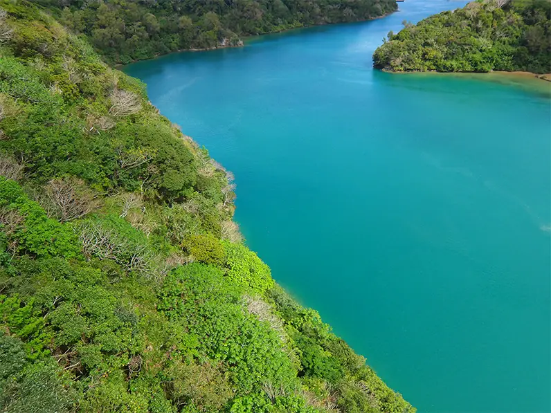 Pentax WG-1000 Digital Camera by  in  - EC MALL