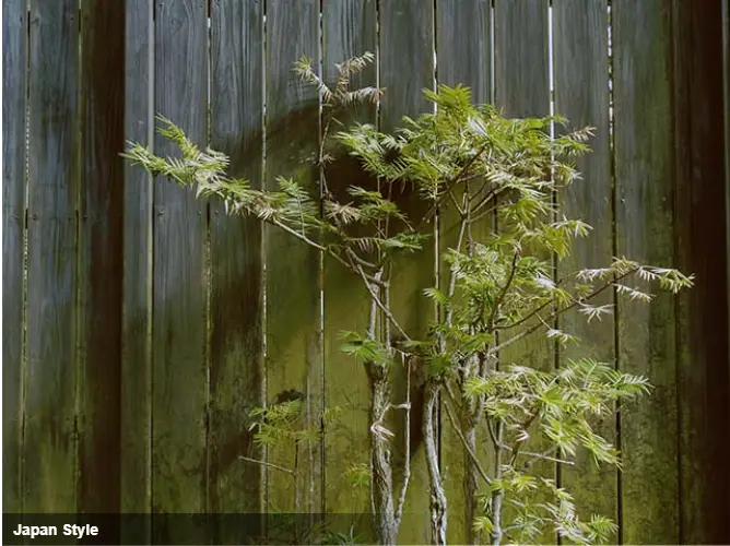 Pentax WG-1000 Digital Camera by  in  - EC MALL